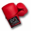 Rival Autograph Boxing Gloves -Empire Sales Store 39dd90666c7f90ff3ee4488a0a2d4544 large