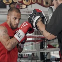 TITLE Aerovent Excel Incredi-mitts 2.0 -Empire Sales Store aerovent mitts