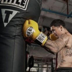 TITLE Big Bang Heavy Bag -Empire Sales Store big bang 3