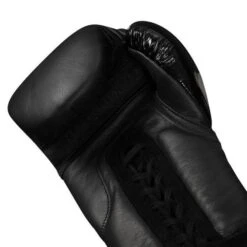 TITLE BLACK Lace Sparring Gloves 2.0 -Empire Sales Store bksg2 3 1 1
