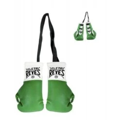 Cleto Reyes Mini Gloves -Empire Sales Store cleto reyes mini gloves green geezers boxing 2