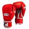 Fighting Sports Fury Professional Training Gloves - Velcro -Empire Sales Store fsftge rd 1