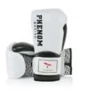 Phenom Elite SG-200S Pro Sparring Gloves -Empire Sales Store ph101
