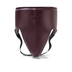 Phenom Boxing Elite GP-250 Professional Groinguard -Empire Sales Store phenom elite gp 250 groinguard sangria 1