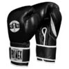 Pro Mex Pro Boxing Gloves V3.0 - Hook & Loop -Empire Sales Store pmtge3 bk 1 4