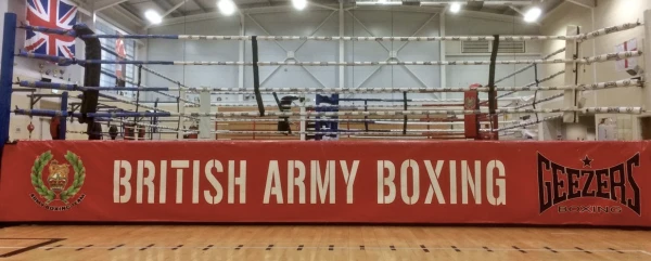 Printed Side Skirts (Competition Ring) (Single) 3 Printed Side Skirts (Competition Ring) (Single)