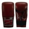 TITLE Boxing Sugar Ray Leonard Throwback Leather Bag Gloves -Empire Sales Store tb164 1