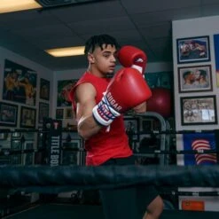 TITLE Boxing Sugar Ray Leonard Signature Leather Sparring Gloves -Empire Sales Store tb165 11