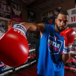 TITLE Boxing Sugar Ray Leonard Signature Leather Sparring Gloves -Empire Sales Store tb165 12