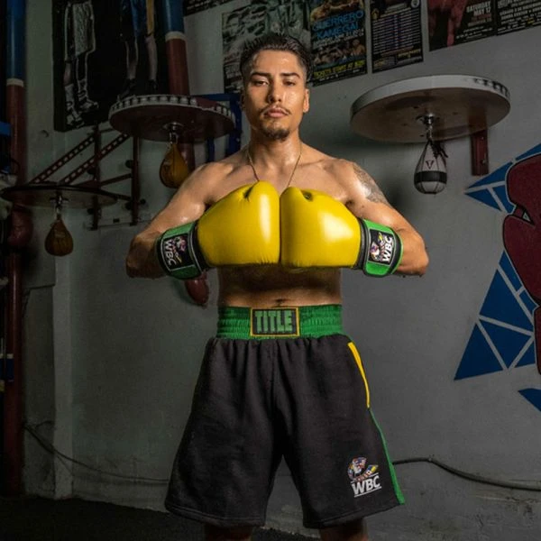 TITLE Boxing WBC Jose Sulaiman Training Gloves 7 TITLE Boxing WBC Jose Sulaiman Training Gloves - Image 5