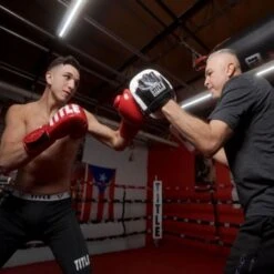 TITLE Cobra Leather Punch Mitts - White/Black -Empire Sales Store title cobra leather punch mitts 4