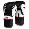 Fighting Sports S2 Gel Power Weighted Bag Gloves -Empire Sales Store weighted gloves 1 2