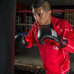 TITLE Dynamic Strike Heavy Bag Gloves -Empire Sales Store xdbg bk rd 2 1 1